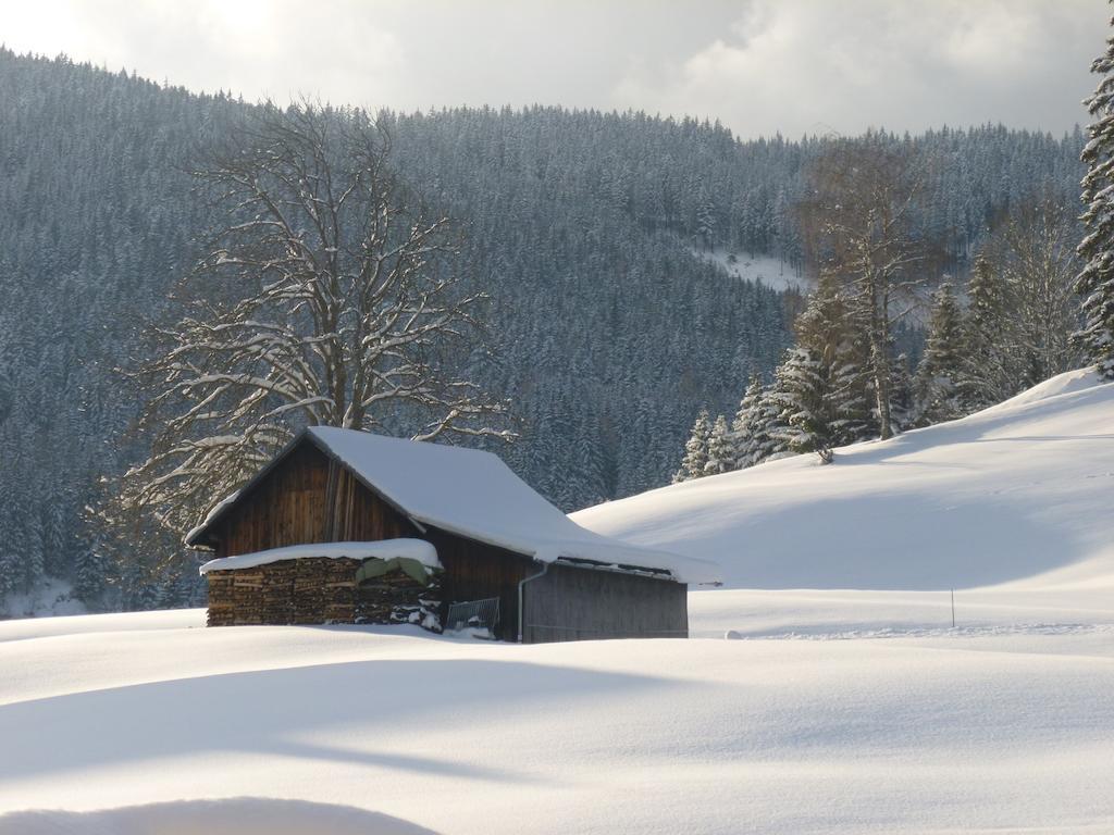 Ferienwohnung Bergblick Filzmoos Camera foto